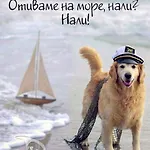 ваканционни къщи'на брега' On The Coast 招待所 瓦爾納