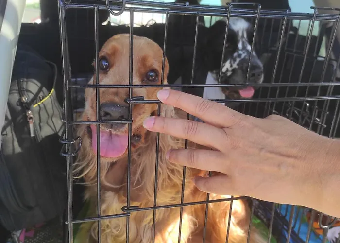 Guest house ваканционни къщи'на брега' On The Coast