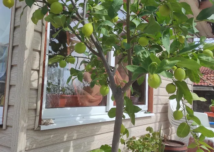 ваканционни къщи'на брега' On The Coast *