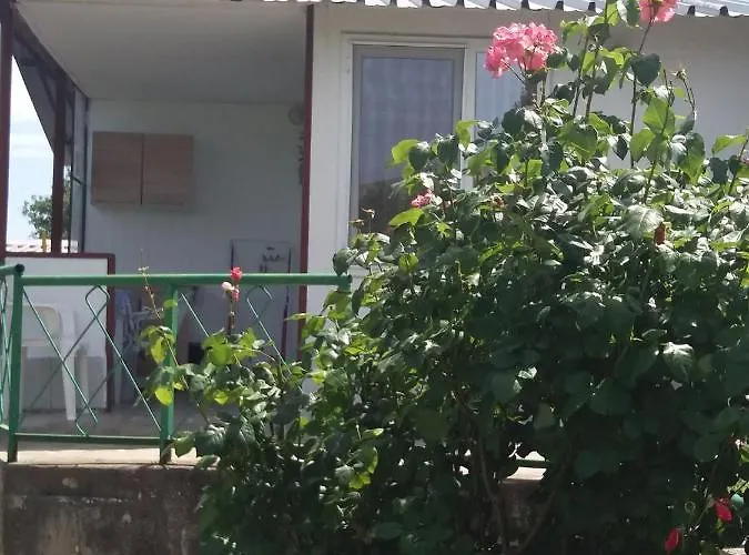 Gasthof ваканционни къщи'на брега' On The Coast *