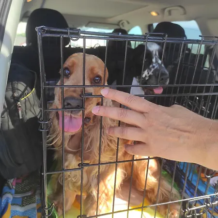 Guest house ваканционни къщи'на брега' On The Coast