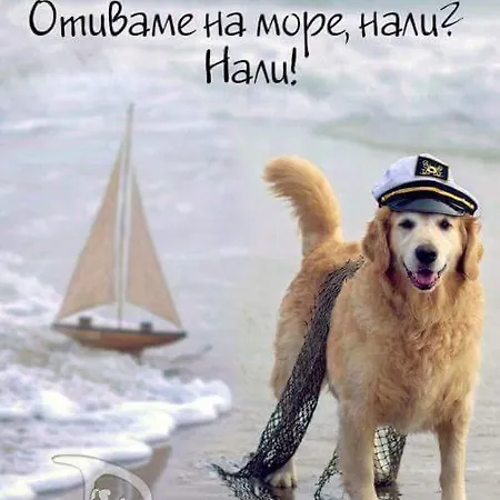 ваканционни къщи'на брега' On The Coast Guest house Varna