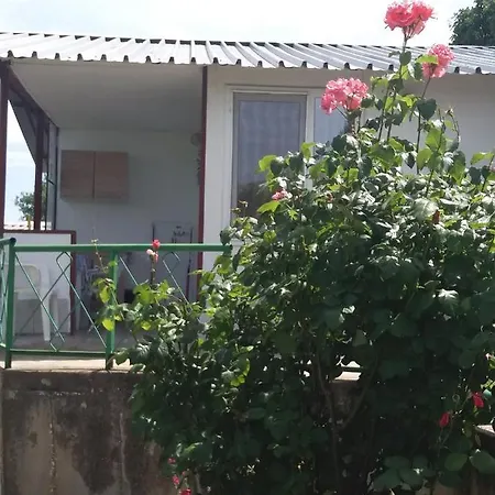 Guest house ваканционни къщи'на брега' On The Coast *